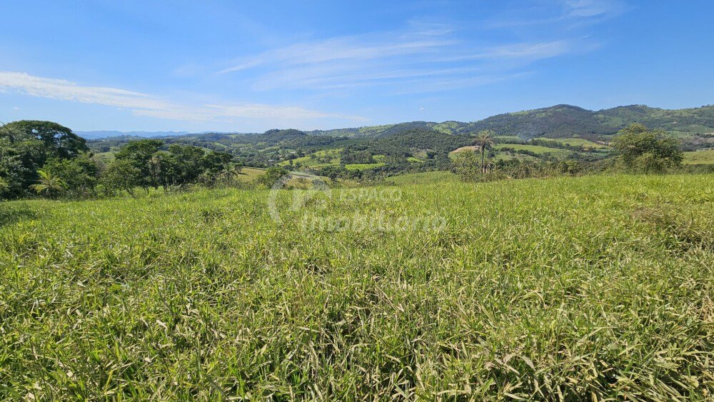 Lote em Macaúbas, Bonfim